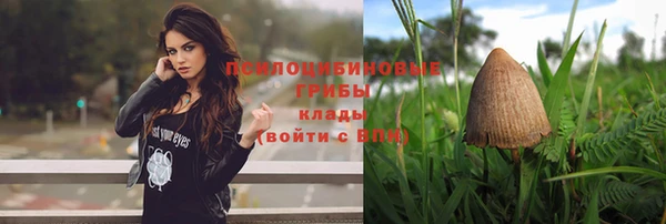 mix Алексеевка