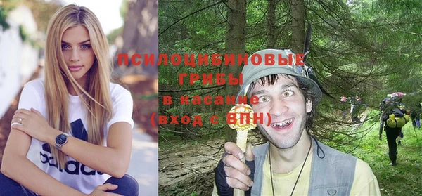 трава Наволоки
